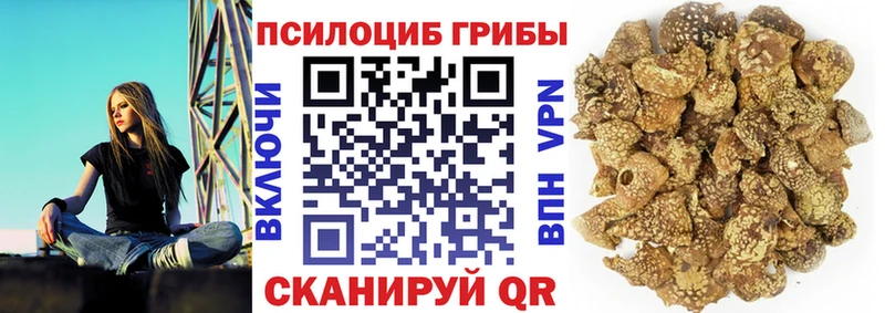 где купить Фатеж Галлюциногенные грибы ЛСД